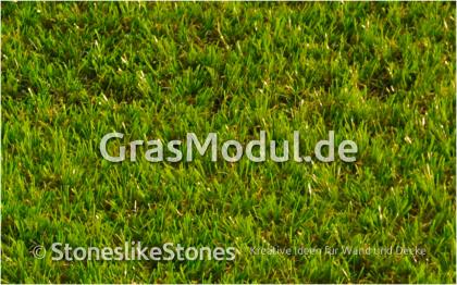 GrasModul