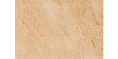 Lamiston-21core